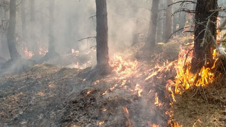 Der Waldbrand in der Nähe von Cannich.